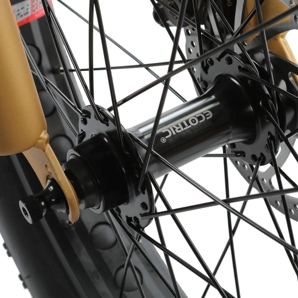 Ecotric Portable & Foldable Fat Tire Electric Bike, 48V