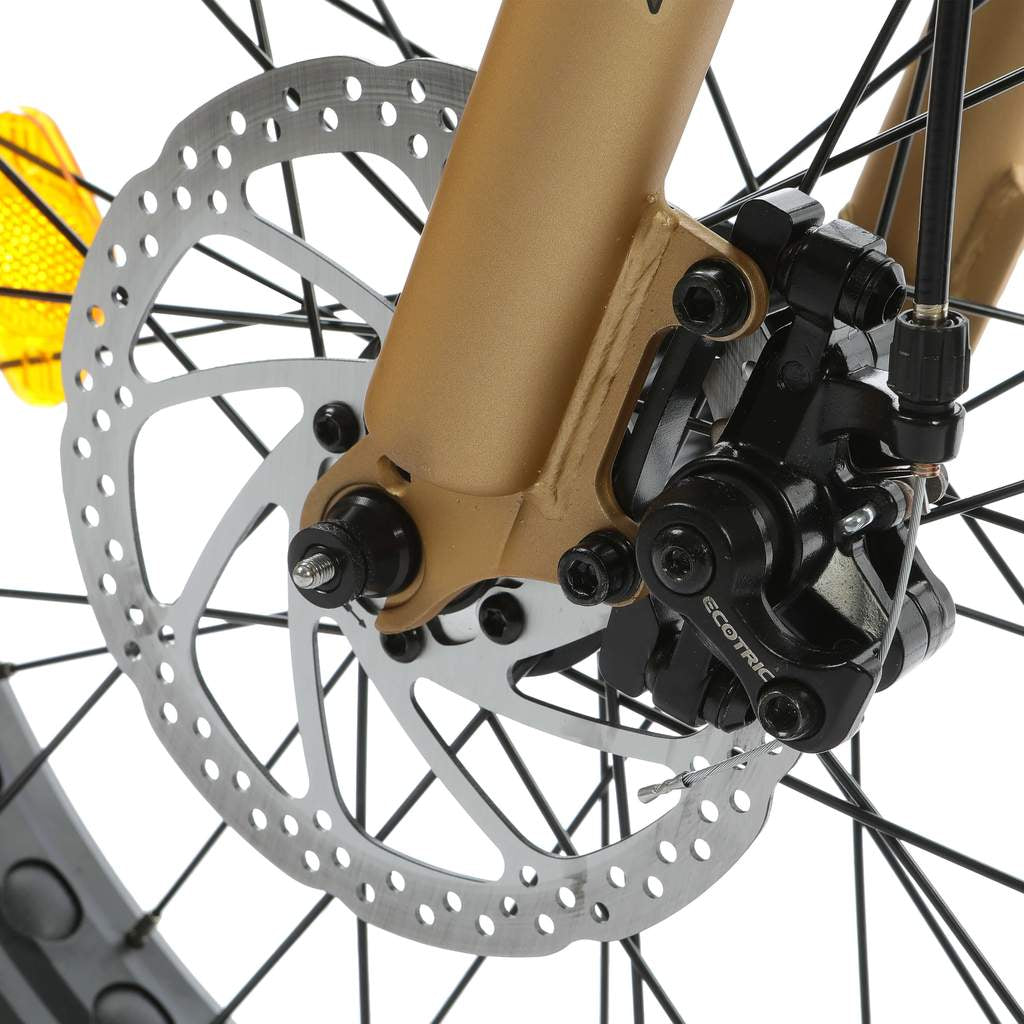 Ecotric Portable & Foldable Fat Tire Electric Bike, 48V