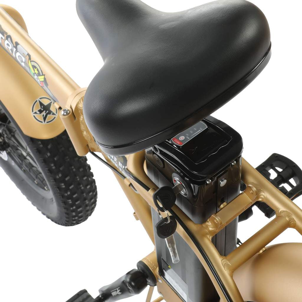 Ecotric Portable & Foldable Fat Tire Electric Bike, 48V