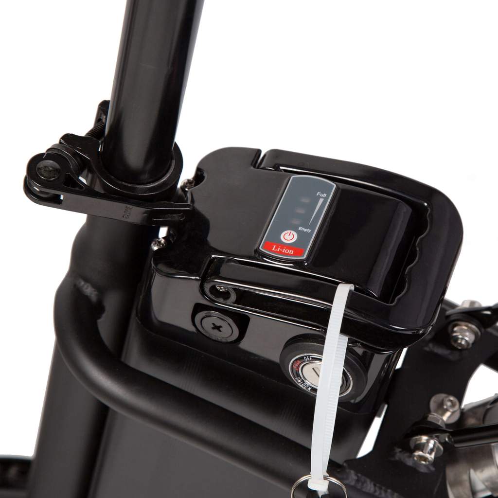 Ecotric Peacedove City Cruiser Electric Bike 36V 350W