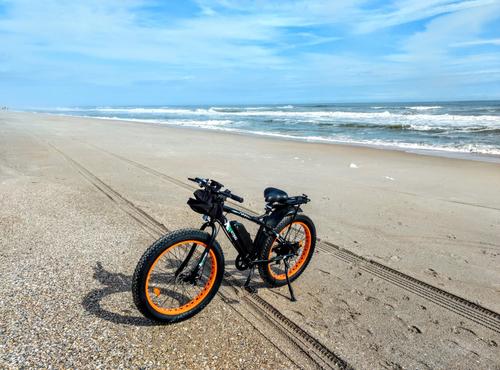 Ecotric Beach Snow Fat Tire Electric Bike with LCD Display, UL Certified